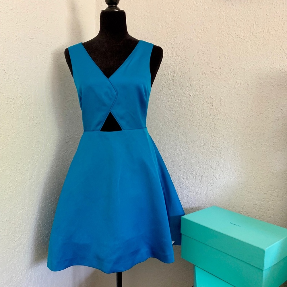 Zac Posen Cut-Out Dress